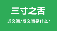 三寸之舌的近义词和反义词是什么_三寸之舌是什么意思?