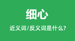 细心的近义词和反义词是什么_细心是什么意思?