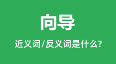 向导的近义词和反义词是什么_向导是什么意思?