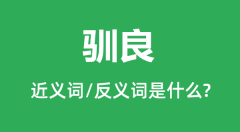 驯良的近义词和反义词是什么_驯良是什么意思?