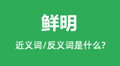 鲜明的近义词和反义词是什么_鲜明是什么意思?