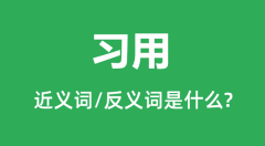 习用的近义词和反义词是什么_习用是什么意思？