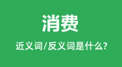 消费的近义词和反义词是什么_消费是什么意思？