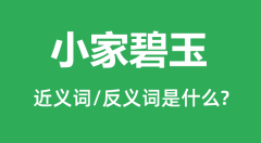 小家碧玉的近义词和反义词是什么_小家碧玉是什么意思?