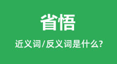 省悟的近义词和反义词是什么_省悟是什么意思?