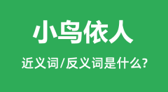 小鸟依人的近义词和反义词是什么_小鸟依人是什么意思?