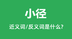 小径的近义词和反义词是什么_小径是什么意思?