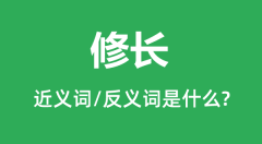 修长的近义词和反义词是什么_修长是什么意思?