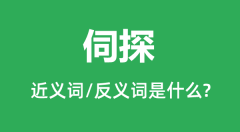 伺探的近义词和反义词是什么_伺探是什么意思?