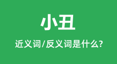 小丑的近义词和反义词是什么_小丑是什么意思?