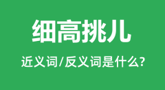 细高挑儿的近义词和反义词是什么_细高挑儿是什么意思?