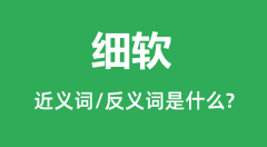 细软的近义词和反义词是什么_细软是什么意思？