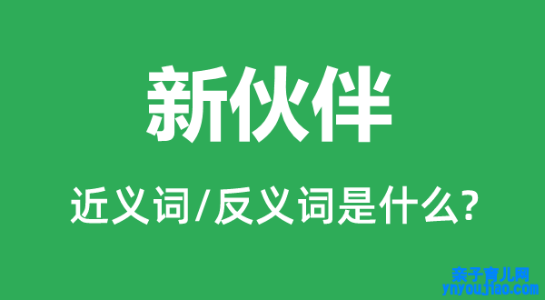 新同伴的近义词和反义词是什么,新同伴是什么意思