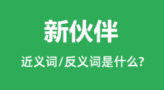 新伙伴的近义词和反义词是什么_新伙伴是